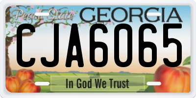 GA license plate CJA6065