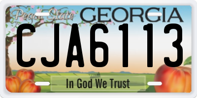 GA license plate CJA6113