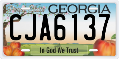 GA license plate CJA6137