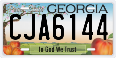 GA license plate CJA6144