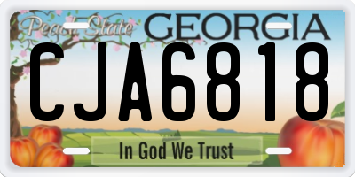 GA license plate CJA6818