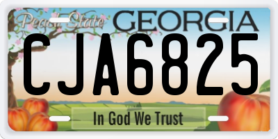 GA license plate CJA6825