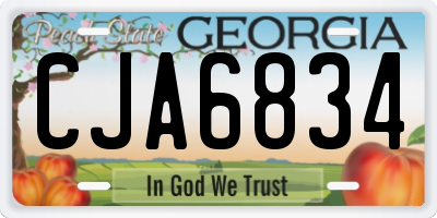 GA license plate CJA6834