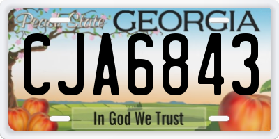 GA license plate CJA6843