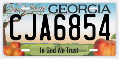 GA license plate CJA6854