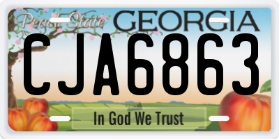 GA license plate CJA6863
