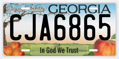 GA license plate CJA6865