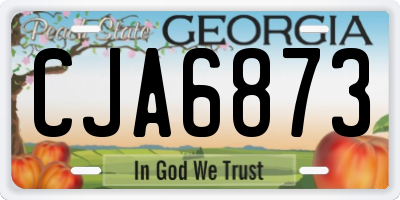 GA license plate CJA6873