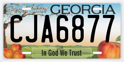 GA license plate CJA6877