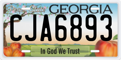 GA license plate CJA6893