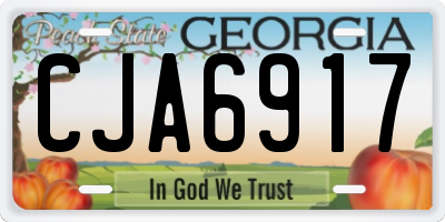 GA license plate CJA6917