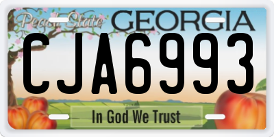 GA license plate CJA6993