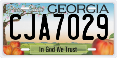 GA license plate CJA7029