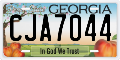 GA license plate CJA7044