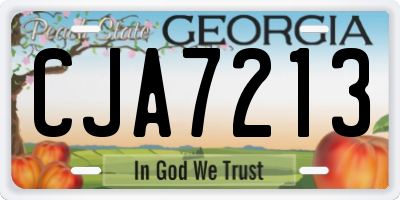 GA license plate CJA7213