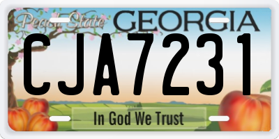 GA license plate CJA7231