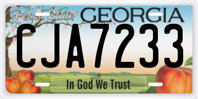 GA license plate CJA7233