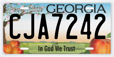 GA license plate CJA7242