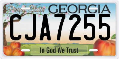 GA license plate CJA7255