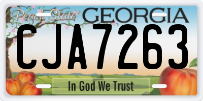 GA license plate CJA7263