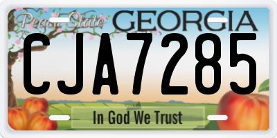 GA license plate CJA7285