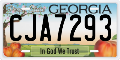 GA license plate CJA7293