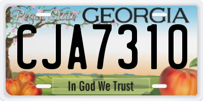 GA license plate CJA7310