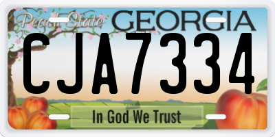 GA license plate CJA7334