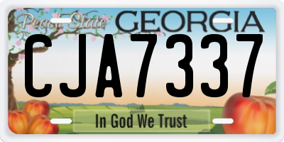 GA license plate CJA7337