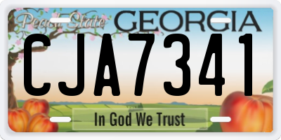 GA license plate CJA7341