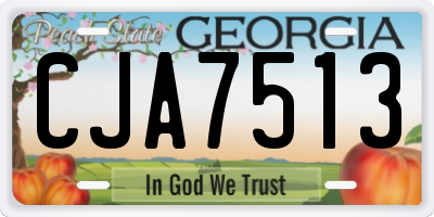 GA license plate CJA7513