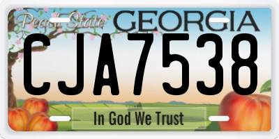 GA license plate CJA7538
