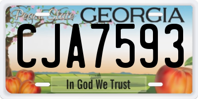 GA license plate CJA7593