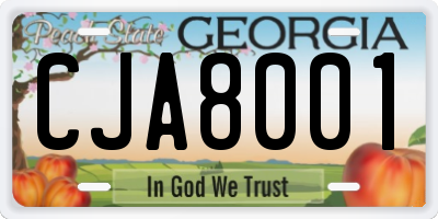 GA license plate CJA8001