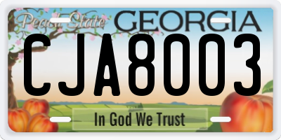 GA license plate CJA8003