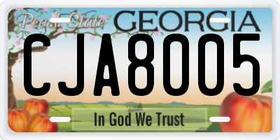 GA license plate CJA8005