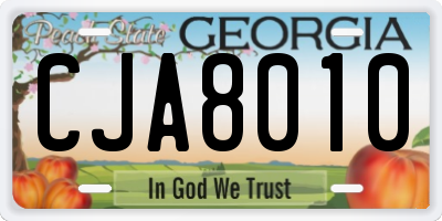 GA license plate CJA8010
