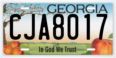 GA license plate CJA8017