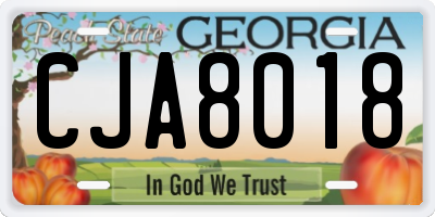 GA license plate CJA8018