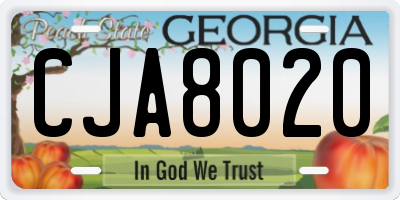 GA license plate CJA8020
