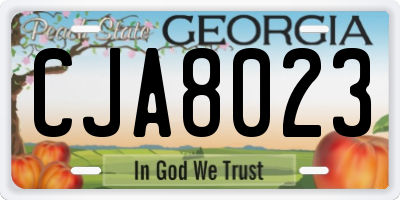 GA license plate CJA8023