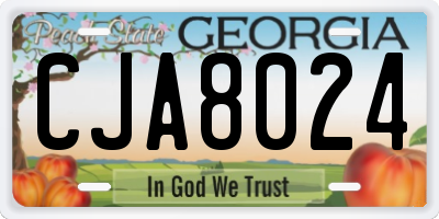 GA license plate CJA8024