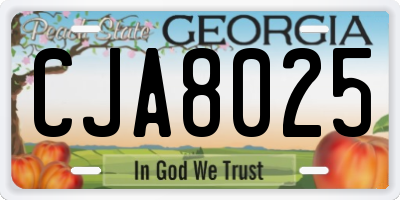 GA license plate CJA8025