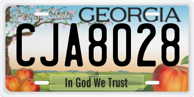 GA license plate CJA8028