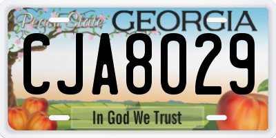 GA license plate CJA8029
