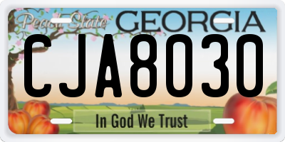 GA license plate CJA8030