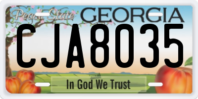 GA license plate CJA8035