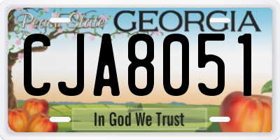 GA license plate CJA8051