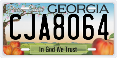 GA license plate CJA8064