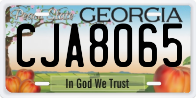 GA license plate CJA8065